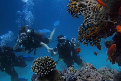 Merugi Hingga Rp75 M, Industri Wisata Selam Siap Terima Wisatawan