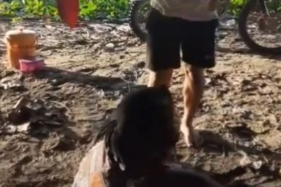 Viral Sepasang Kekasih Bertengkar di Pantai, Ceweknya Dipukuli, Ternyata Ini Penyebabnya