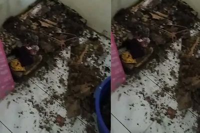 Penampakan Kamar Kos yang Ditinggal 8 Bulan, Habis Dimakan Rayap!