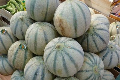 Melon Prancis Charentais, Salah Satu Melon dengan Rasa dan Aroma Terbaik