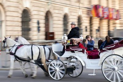 Chicago akan Larang Pengoperasian Kereta Kuda Mulai Tahun 2021