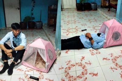 Pria Ini Beli Tenda Murah di Promo 11.11, Kecewa Saat Barang Datang, Cuma Kepala yang Muat