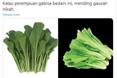 Dear Cewek yang Gak Bisa Bedain Jenis Sawi, Kata Cowok Ini Mending Gak Usah Nikah!