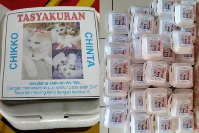 Kucing Lahiran Dibuatkan Tasyakuran, Netizen Dibuat Salfok