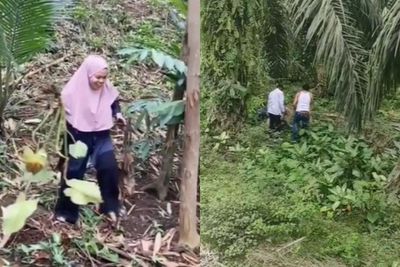 Dijual Seharga Ratusan Juta, Emak-emak Buru Janda Bolong Hingga ke Semak-semak