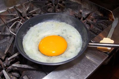 Jadi Telur Burung Terbesar, Bagaimana Rasa Telur Burung Unta?