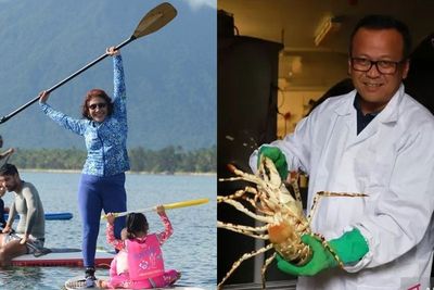 Susi Pudjiastuti Kecam Ekspor Benih Lobster: Bodoh Kita Kalau Masih Belum Ngerti