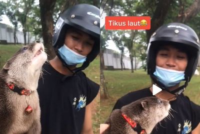 Ditanyai Nama Hewan, Jawaban Orang-orang Ini Diluar Dugaan, Ada yang Sebut Tikus Laut