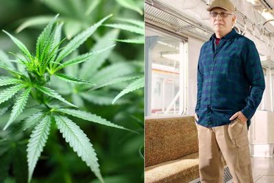 Ganja Dihapus dari Daftar Narkotika oleh PBB, Iwan Fals: Keren Nih, Alhamdulillah
