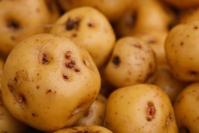 7 Fakta Menarik tentang Kentang, Cari Tahu Yuk!