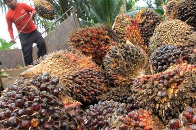 Aprobi Dukung PMK 191 2020, karena Mampu Perkuat Program Hilir Sawit