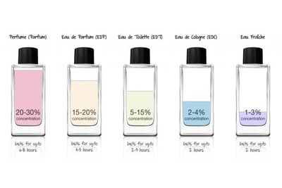 Ternyata 5 Jenis Parfum Ini Punya Kadar Ekstrak Parfum Berbeda, Jangan Salah Beli!