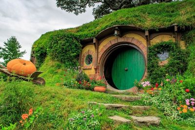 Lucunya Hobbiton, Tempat Tinggal Para Hobbit di Dunia Nyata