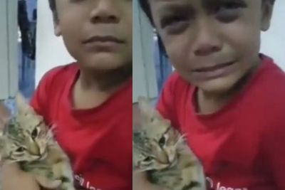 Sedih, Bocah Ini Sampai Menangis Sesenggukan Melihat Kucingnya Mati karena Diracun