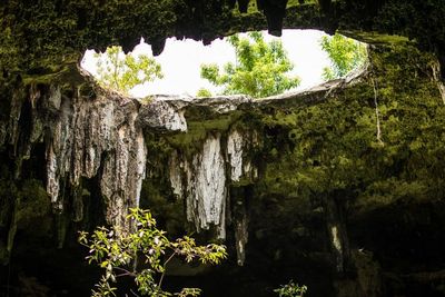 Kawah Chicxulub, Pintu Gerbang Menuju Dunia Bawah Maya Kuno