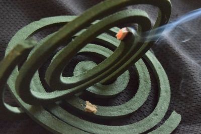 Sejarah Obat Nyamuk Bakar Berbentuk Spiral, Bukan Cuma Mode!