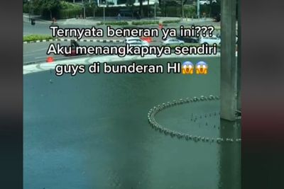 Viral Hewan Misterius Muncul di Kolam Bundaran HI, Netizen Kepo Bentuknya