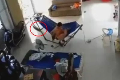 Detik-detik Ibu Didatangi Ular Besar dan Panjang saat Sedang Tidurkan Bayi, Bikin Ngeri