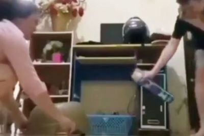 Viral Satu Rumah Heboh Gegara Seekor Kecoak, Antara Gemas Sama Bikin Ngakak