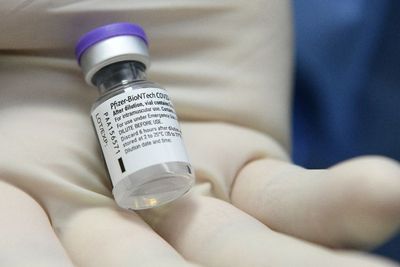 WHO Izinkan Vaksin Pfizer BioNTech untuk Penggunaan Darurat