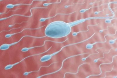 Ciri-ciri Pria Memiliki Sperma yang Sehat, Simak Yuk!