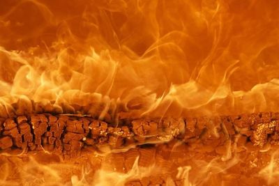 Usai Debt Collector di Keroyok, Tenda Pedagang Hingga Motor di Kalibata Dibakar!