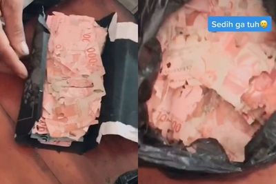 Nyesek! Uang Rp15 Juta yang Ditabung 3 Tahun Habis Dimakan Rayap, Ternyata Disimpan Disini