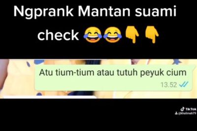 Viral Cewek Prank Mantan Suami di WA, Isi Chatnya Tak Diduga, Netizen Dibikin Heran