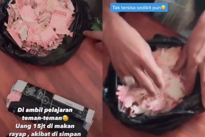 Viral Video Uang Rp15 Juta Habis Dimakan Rayap, Ini Tanggapan LPS