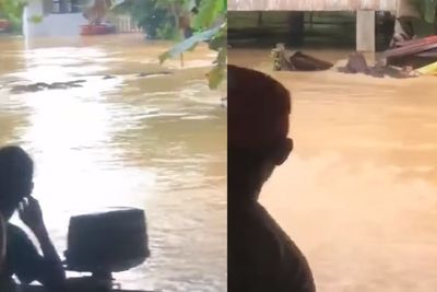Hewan Ini Berenang Selamatkan Diri dari Banjir, Malah Diusir Warga, Bukti Egoisnya Manusia