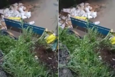 Diduga Sopir Mengantuk, Truk Muatan Jagung di Garut Masuk Jurang