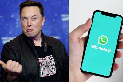 Elon Musk Ajak Publik Tinggalkan Whatsapp dan Beralih ke Aplikasi Signal