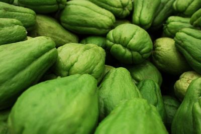 Manfaat Labu Siam Untuk Kesehatan, dapat Mengontrol Gula Darah 