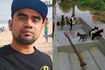 Selamatkan Kucing yang Terjebak Banjir, Pria Ini Dapat Banyak Pujian dari Warganet