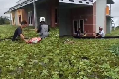 Banjir Besar di Kalsel, Perumahan Ini Mendadak Dipenuhi Eceng Gondok