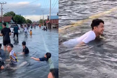 Jangan Berenang di Banjir! Bahaya Bisa Kena Kencing Tikus yang Mengancam Nyawa