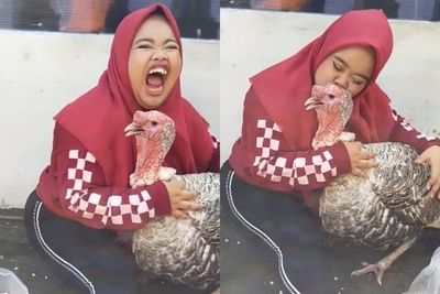 Video Kekeyi Cium Ayam Kalkun Sukses Bikin Ketawa, Netizen: Kalkunnya Kena Tekanan Batin