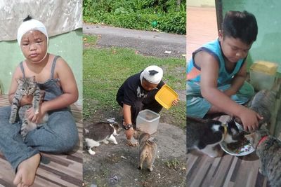 Kisah Bocah yang Wajahnya Berdarah Dicakar Kucing, Tapi Tetap Sayang