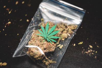 Ini Alasan Kenapa Ganja Dilarang, Dapat Memicu Kemandulan Hingga 41%!