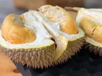 Sedikit yang Tahu, Ternyata Ini Manfaat Biji Durian Bagi Kesehatan 