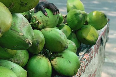 4 Manfaat Air Kelapa Muda Untuk Kesehatan Tubuh