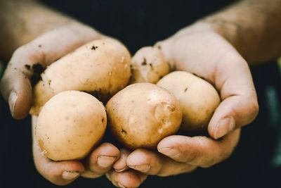 Selain Baik Untuk Diet, Berikut Manfaat Memakan Kentang Untuk Kesehatan