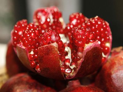 Manfaat Buah Delima, Mulai dari Kesehatan Jantung Hingga Sistem Reproduksi