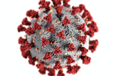 Vaksin Moderna Tampaknya Efektif Melawan Virus Corona Baru
