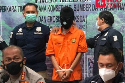 Calo Satwa Dilindungi Beraksi Sejak 2020, Keuntungan per Hewan Capai Rp10 Juta