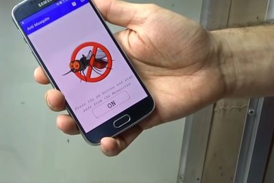 Efektifkah Mengusir Nyamuk Dengan Suara Ultrasound Yang Ada di Play Store atau App Store?
