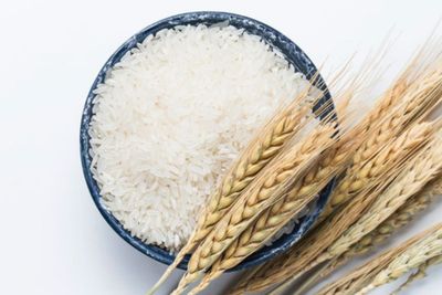 Sedang Menjalani Diet? Konsumsi Makanan Ini Sebagai Pengganti Nasi