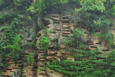 Tradisi Suku Bo dan Guyue China, Gantung Peti Mati di Tempat Tinggi di Sisi Gunung