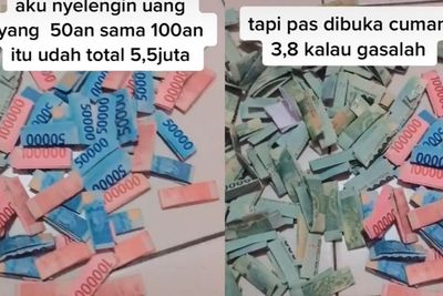 Syok Lihat Isi Celengannya, Wanita Ini Sarankan Menabung di Bank