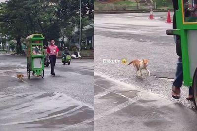 Tukang Bubur Ayam Ini Disambut Bak Pahlawan oleh Kucing Jalanan, Ada yang Lari Kegirangan